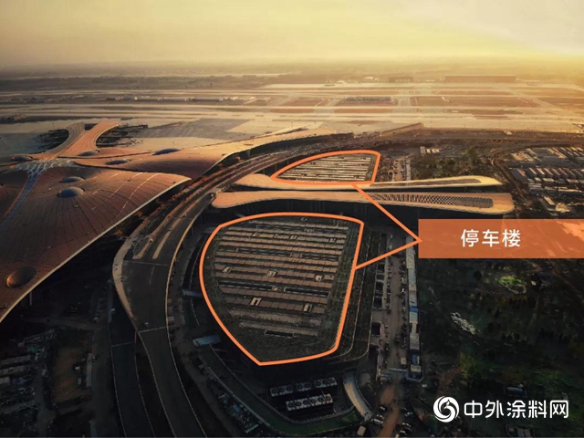 外贸独立站成功案例分析与运营策略解析